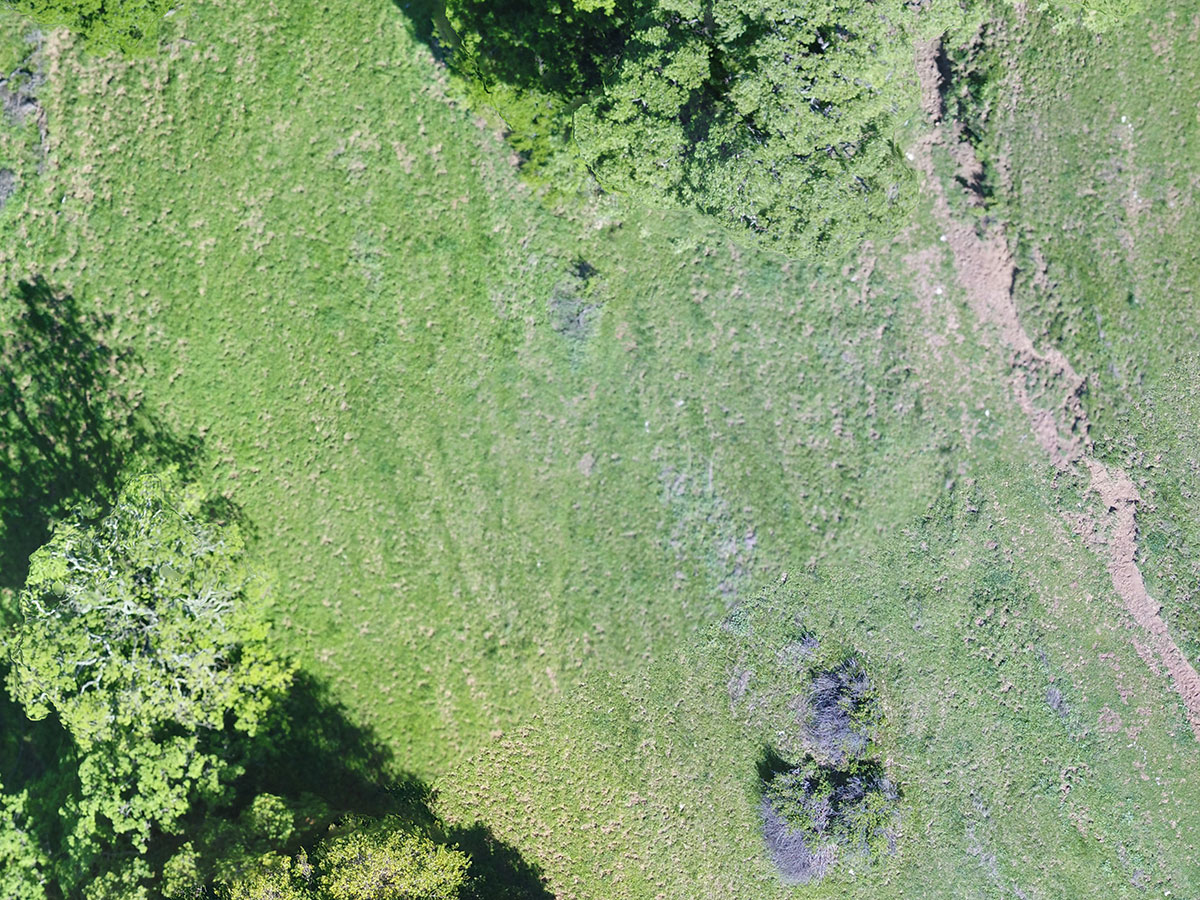 orthomosaic drone mapping service